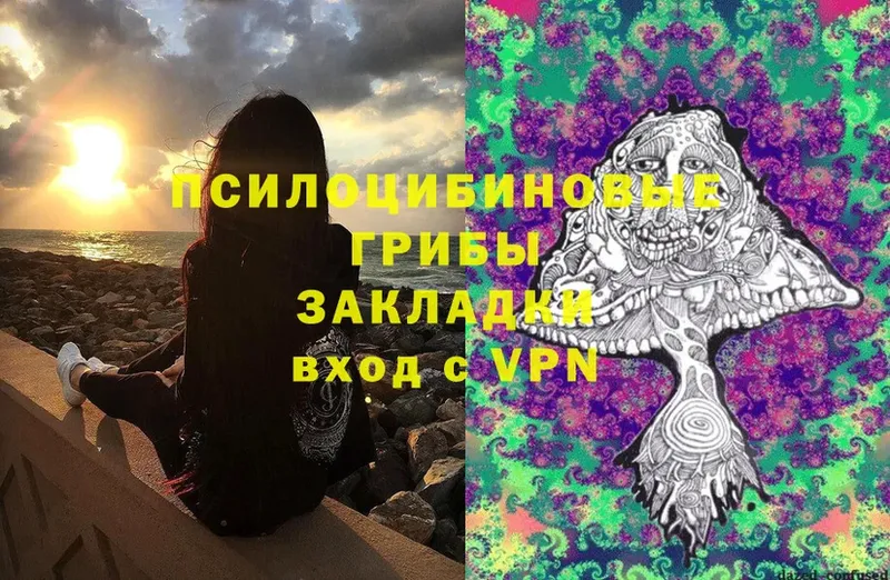 Псилоцибиновые грибы Psilocybe  Ковылкино 